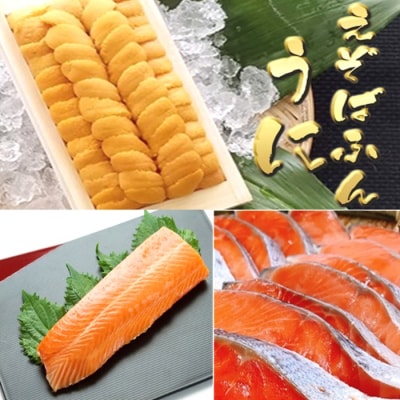 エゾバフンウニ約100g・サーモン、塩銀鮭切身10切(個包装)[11月下旬以降発送] D-71069