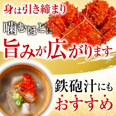 【北海道根室産】花咲かに500g前後～650g前後×2尾 A-30054