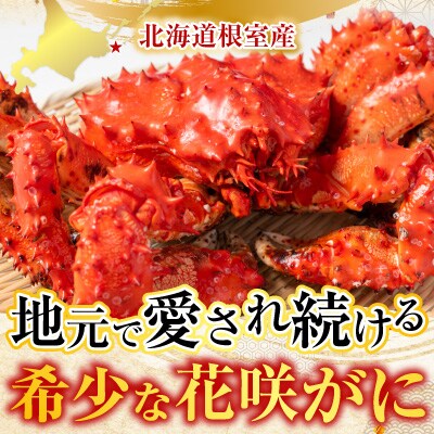 【北海道根室産】花咲かに400g前後～500g前後×4尾 B-30015