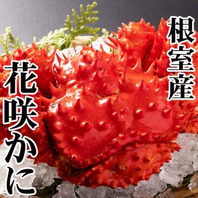 【北海道根室産】花咲かに400g前後～500g前後×6尾 C-30031