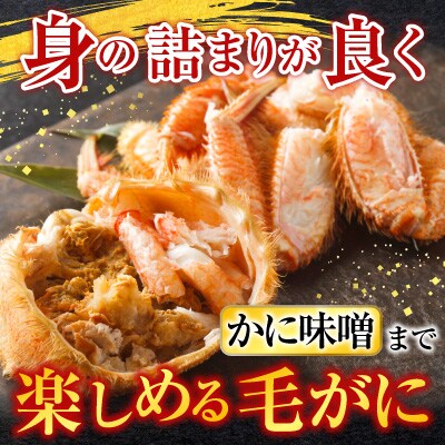 毛かに・ほたて貝柱セット C-30043