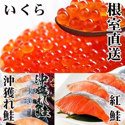 甘塩紅鮭5切×10P、甘塩沖獲れ鮭5切×10P、いくら醤油漬け100g×5P E-30002