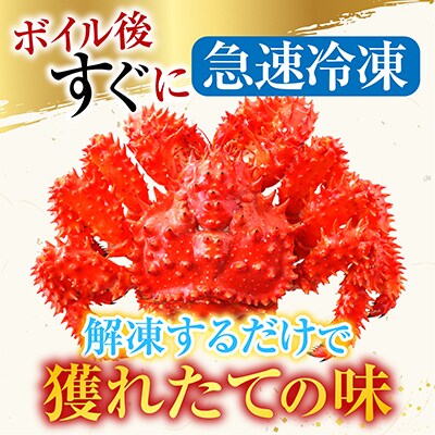 【北海道根室産】花咲かに300g前後～450g前後×4尾 A-36001