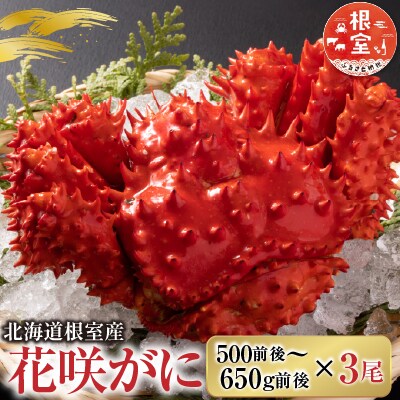 【北海道根室産】花咲かに500g前後～650g前後×3尾 B-36002