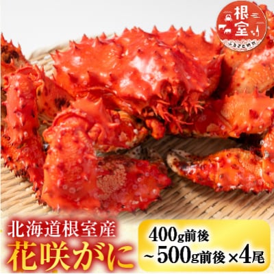 【北海道根室産】花咲かに400g前後～500g前後×4尾 B-36015