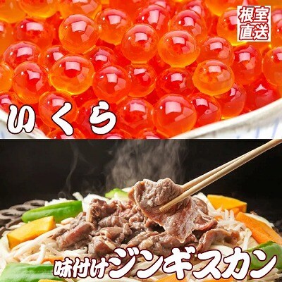 いくら醤油漬け100g×1P、味付けジンギスカン800g×1Pセット B-36034