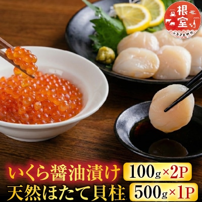 いくら醤油漬け100g×2P、ほたて貝柱500g×1P C-36041