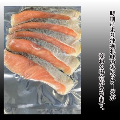 甘塩紅鮭5切×2P、甘塩沖獲れ鮭5切×2Pセット A-70007