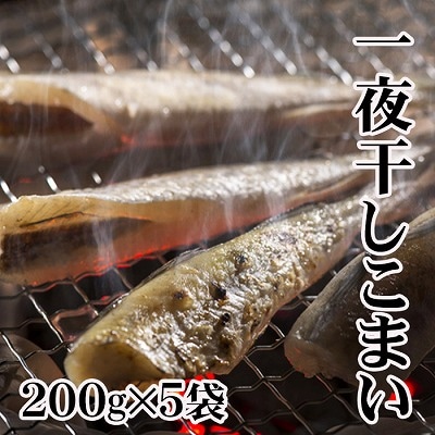 【北海道根室産】一夜干しこまい200g×5袋 A-70012