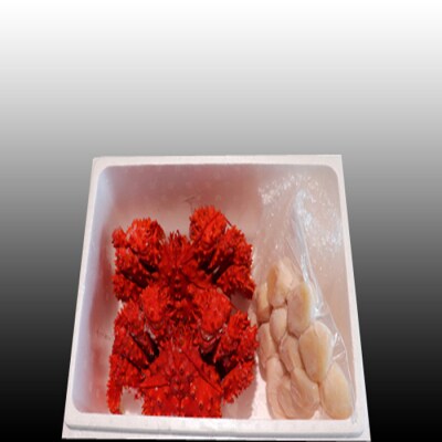 ほたて貝柱500g×1P、花咲かに400g前後～550g前後×2尾 B-70016