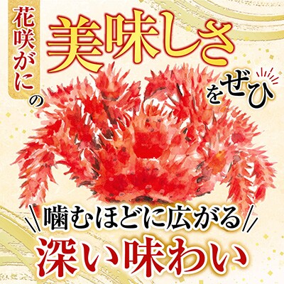 【北海道根室産】花咲かに500g前後～650g前後×2尾 A-76029