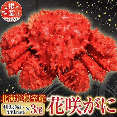 【北海道根室産】花咲かに400g前後～550g前後×3尾 A-76032