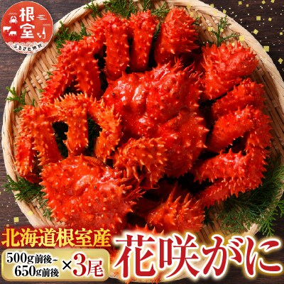【北海道根室産】花咲かに500g前後～650g前後×3尾 B-76028