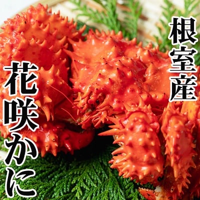 【北海道根室産】花咲かに400g～500g前後×4尾 B-76030