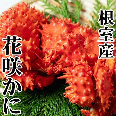 【北海道根室産】花咲かに300g前後～450g前後×8尾 C-76038