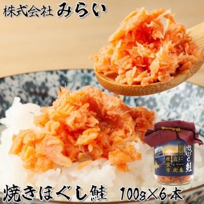 焼きほぐし鮭(鮭フレーク)100g×6本 G-49002