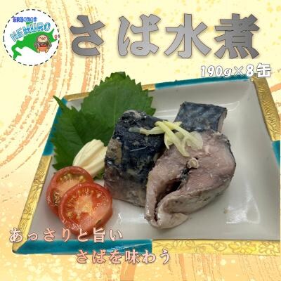【北海道根室産】鯖水煮190g×8缶 A-78033