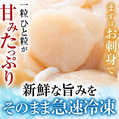 【北海道根室産】お刺身帆立貝柱900g×1P B-42076