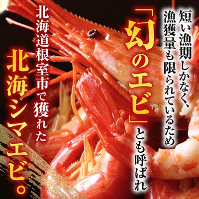 【北海道根室産】北海しまえび700g A-42108