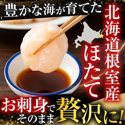 【北海道根室産】お刺身ほたて貝柱550g A-42125