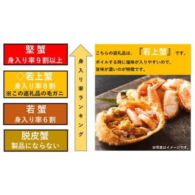 根室海鮮市場<直送>ボイル毛がに500～600g×2尾(若上蟹) C-28062