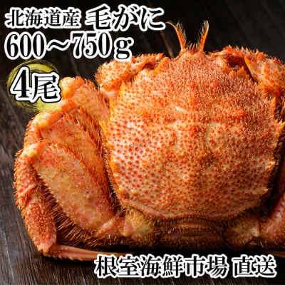 根室海鮮市場<直送>ボイル毛がに600～750g×4尾(若上蟹) D-28065