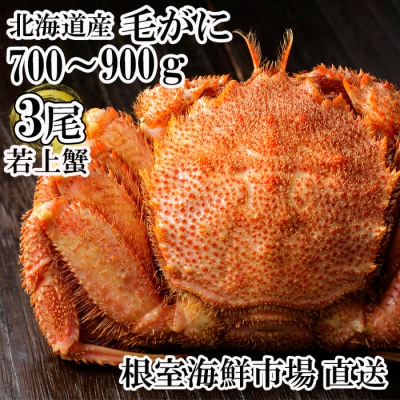 根室海鮮市場<直送>ボイル毛がに700～900g×3尾(若上蟹) D-28066