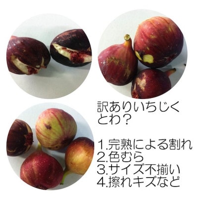 和歌山産 いちじく ご自宅用(サイズ不揃い、傷あり) 800g(400g×2パック)