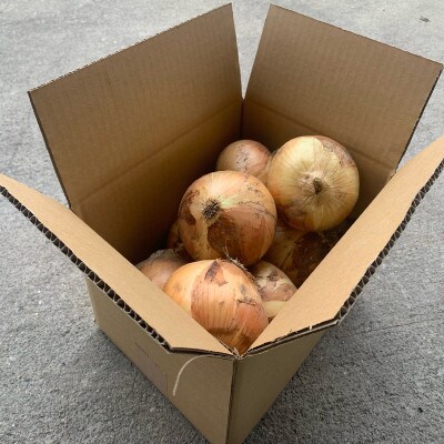 和歌山産 大玉 玉ねぎ 3kg