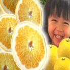 はっさく 和歌山産 八朔 秀品 3kg(サイズおまかせ)