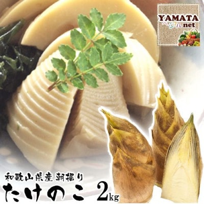 和歌山産 朝堀り 筍 2kg (ぬか付き)