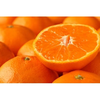 和歌山産 みかん 秀品 3kg