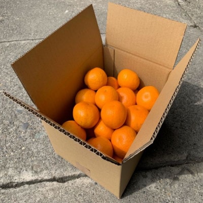和歌山産 みかん 秀品 3kg