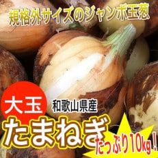 和歌山産 大玉 玉ねぎ 10kg 訳あり・サイズ不揃い
