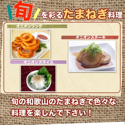 和歌山産 大玉 玉ねぎ 10kg 訳あり・サイズ不揃い