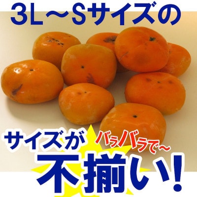 和歌山県産 訳あり たねなし柿 10kg