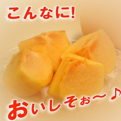 和歌山県産 訳あり たねなし柿 10kg