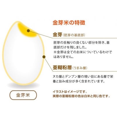 金芽米ハイセレクト9kg(4.5kg×2)