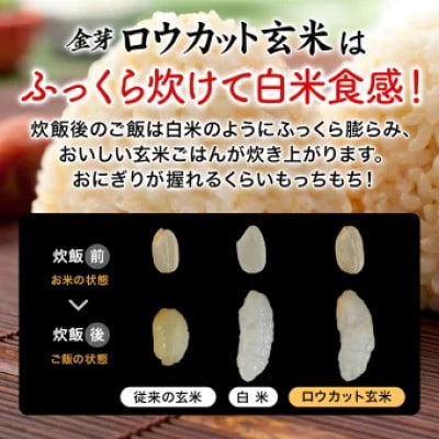 金芽ロウカット玄米4kg(2kg×2袋)