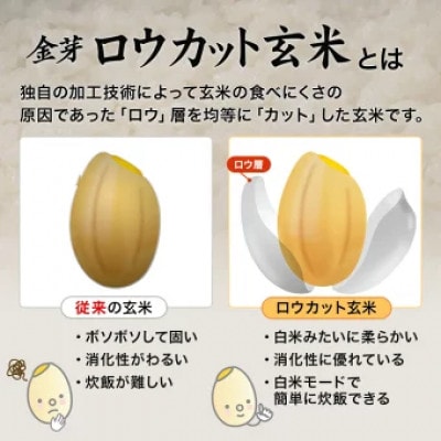 金芽ロウカット玄米12kg(2kg×6袋)