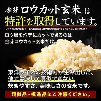 【毎月定期便】金芽ロウカット玄米(無洗米) 4kg(2kg×2袋)(国内産)全3回