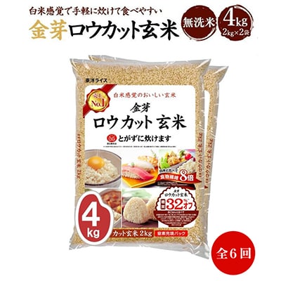 【毎月定期便】金芽ロウカット玄米(無洗米) 4kg(2kg×2袋)(国内産)全6回