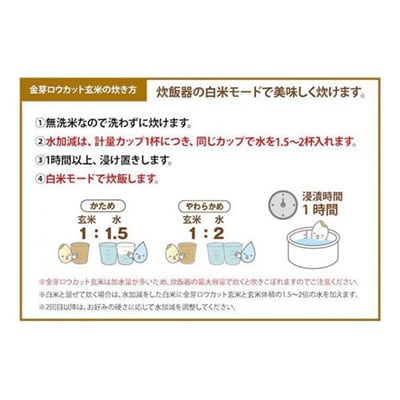 【毎月定期便】金芽ロウカット玄米(無洗米) 4kg(2kg×2袋)(国内産)全6回