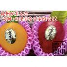 紀州完熟マンゴー『吉玉』　ご家庭用訳あり品1kg