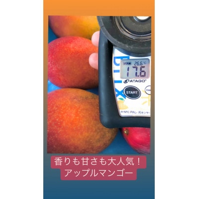 紀州完熟マンゴー『吉玉』ご家庭用訳あり品1.5kg