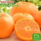 [秀品]和歌山有田みかん約5kg(SサイズまたはMサイズのいずれかをお届け)(和歌山市)
