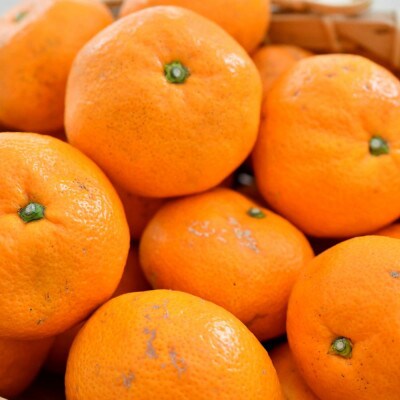 [秀品]和歌山有田みかん約5kg(MサイズまたはLサイズのいずれかをお届け) (和歌山市)