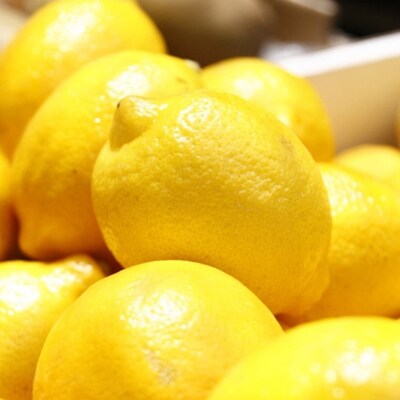 【産直】和歌山産レモン約3kg(サイズ混合)(和歌山市)