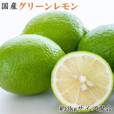 【産直】和歌山産グリーンレモン約3kg　(サイズ混合)