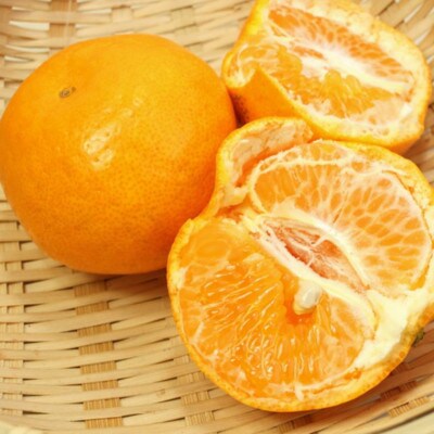 【大玉】和歌山県産はるみ約5kg(3L~5Lサイズおまかせ・ご家庭用) (和歌山市)